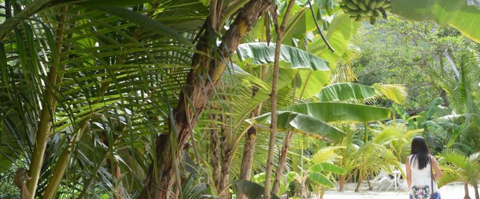 VILLA VEUVE GUEST HOUSE LA DIGUE - La Digue