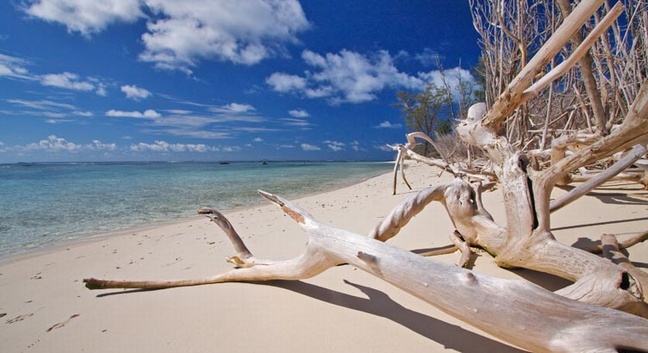 BIRD ISLAND LODGE - Bird