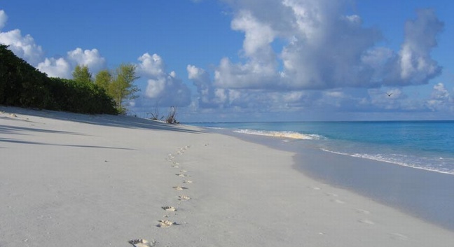 BIRD ISLAND LODGE - Bird