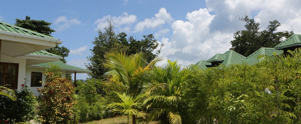 LE SURMER CHALETS LA DIGUE - La Digue