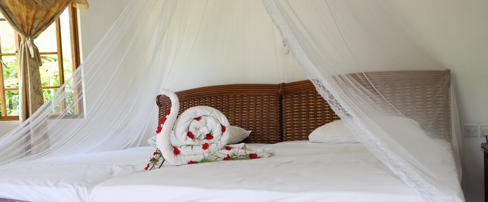 LE SURMER CHALETS LA DIGUE - La Digue