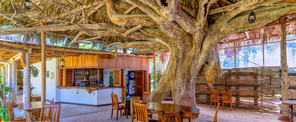 AUGERINE HOTEL BEAU VALLON - Mahé