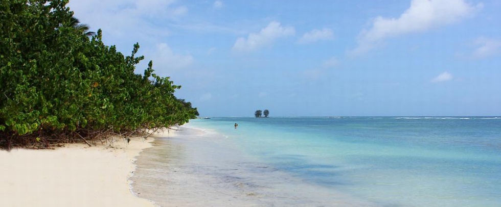 LE SURMER CHALETS LA DIGUE - La Digue